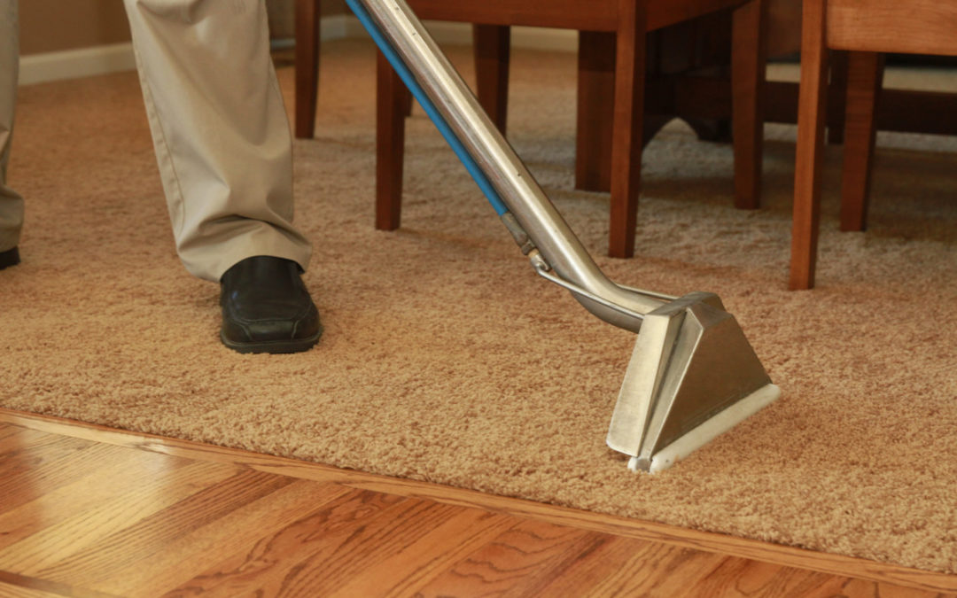 how long does it take to get rid of carpet beetles