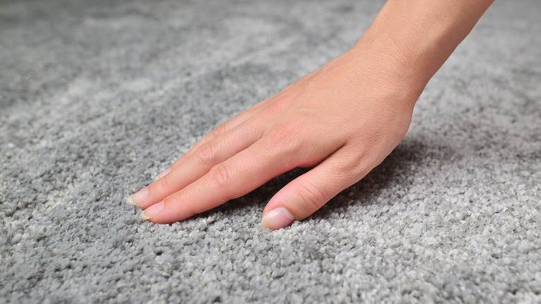 Mold Prevention Checklist for Carpets: Essential Tips