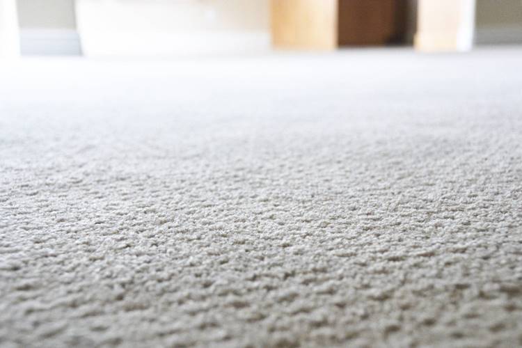 How to Sanitize Carpet After Water Exposure: A Complete Guide