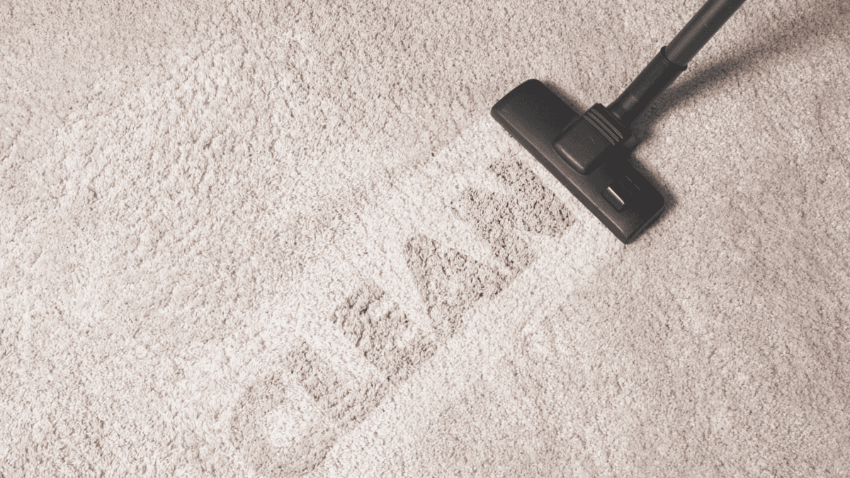 how to remove water stains and mold from carpet