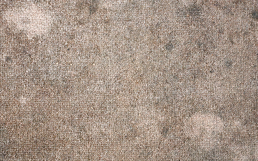how to get rid of mold smell in carpet