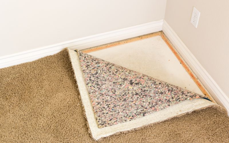 how to sanitize carpet after water exposure