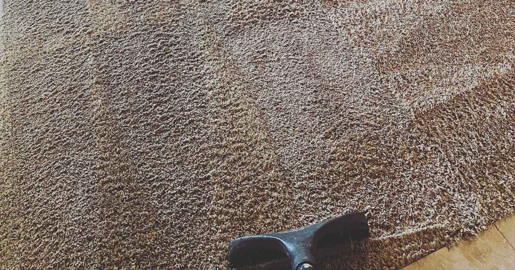 importance of quick cleanup for wet carpet