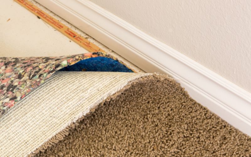 dealing with mold in carpet after leaks