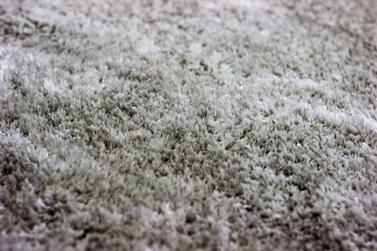 safest way to remove mold from carpet