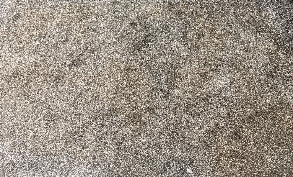 How to clean oil stains from carpet effectively at home