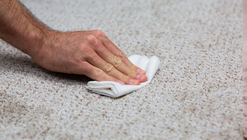 How to clean carpet stains in offices effectively and easily?