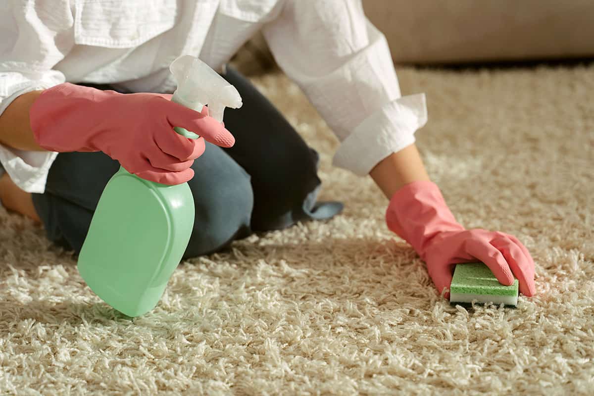 How to clean tea stains from carpet