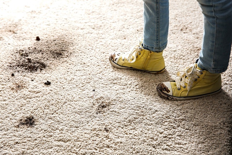 How to deep clean a carpet