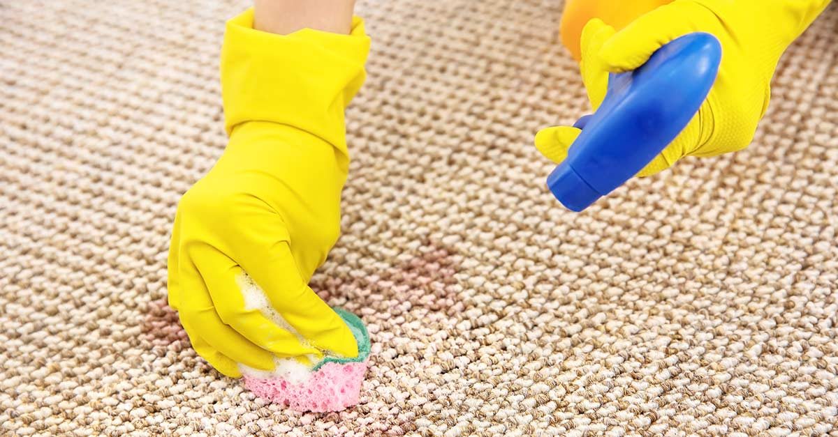 Best carpet cleaning machines