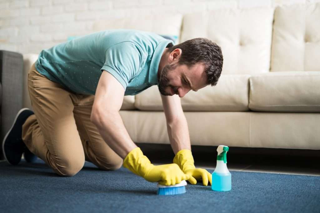 How to clean carpet stains in apartments effectively?