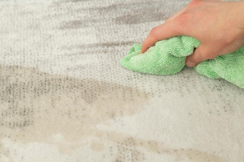 Removing Tree Sap from Carpet: A Complete Guide