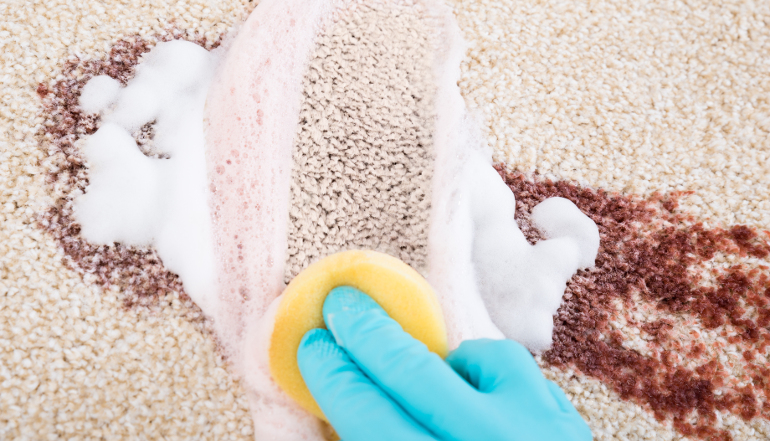 Top-rated carpet cleaning products