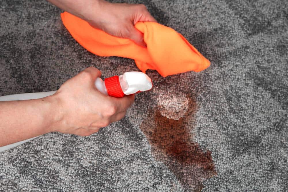 How to remove blood stains from carpet