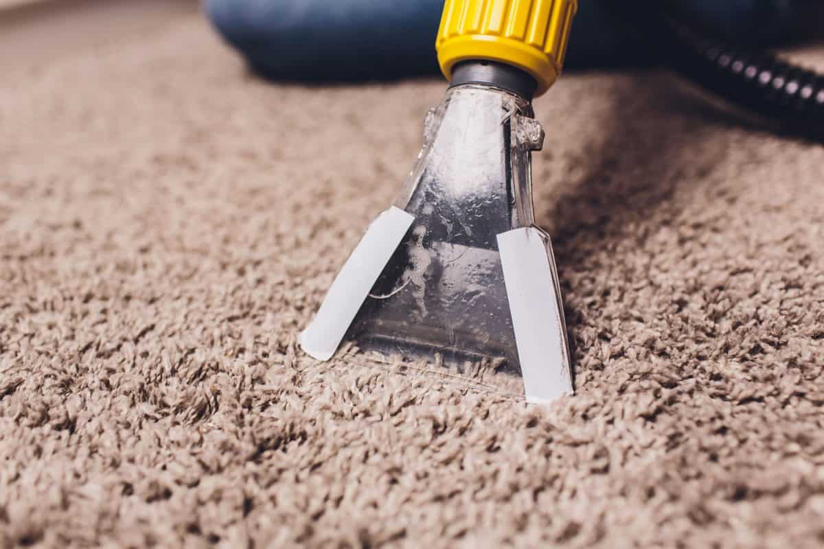How to deep clean a carpet