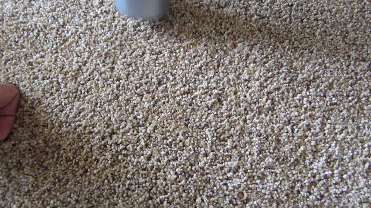 How to maintain white carpets