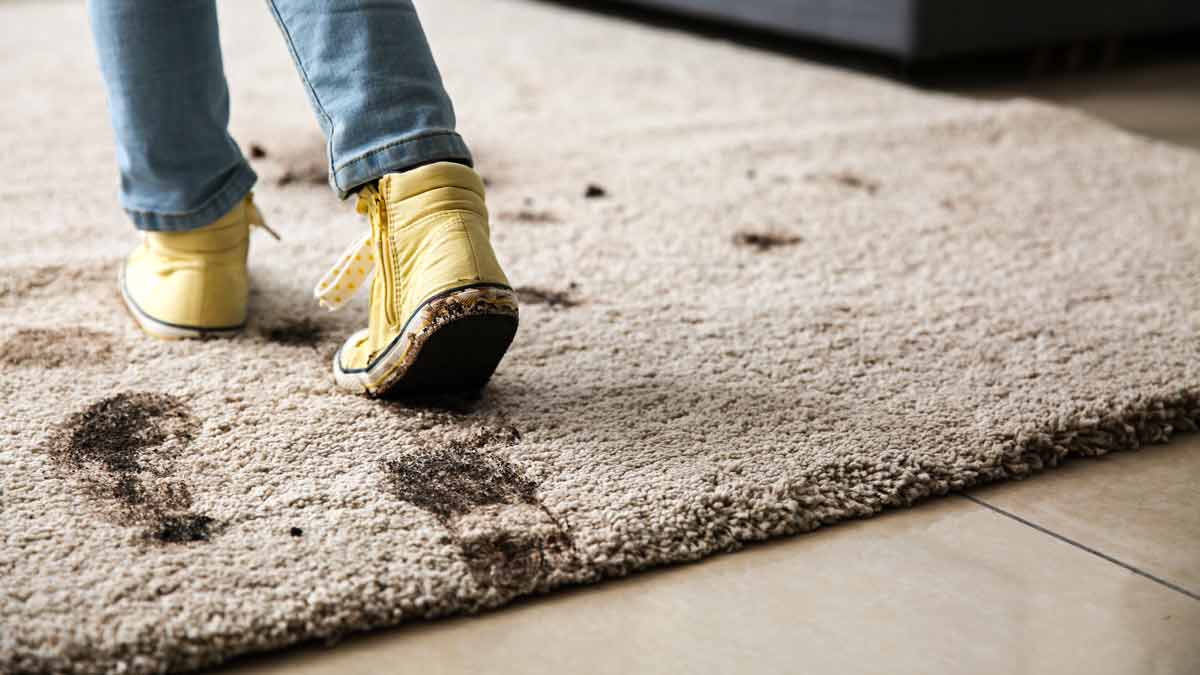 Best Carpet Cleaning Machines: A Detailed Guide for Shoppers