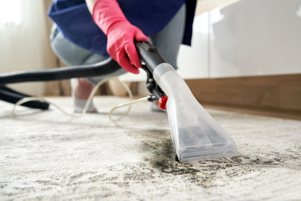 removing pet vomit stains from carpet
