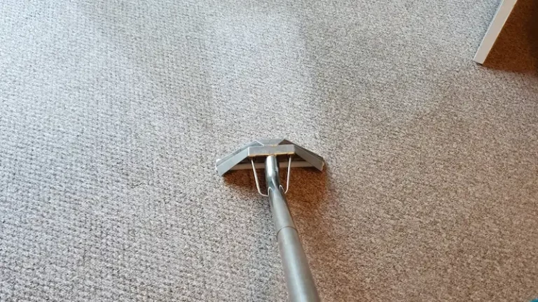 Eco Friendly Move Out Carpet Cleaning: A Sustainable Approach