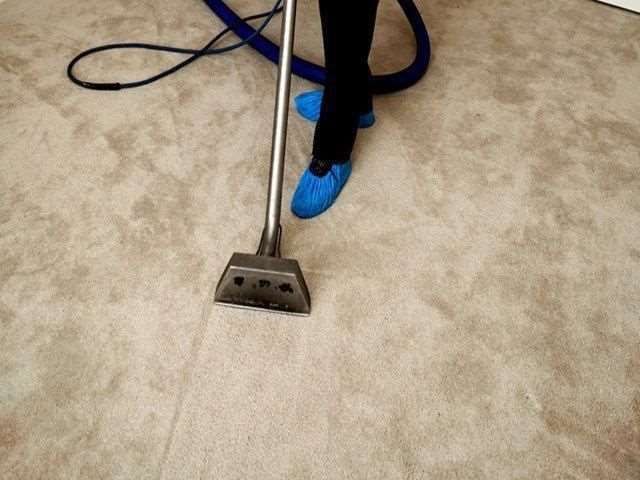how to make carpets look new before moving out
