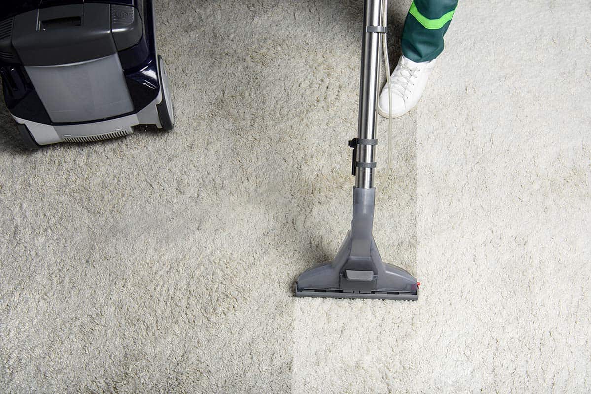 how to make carpets look new before moving out