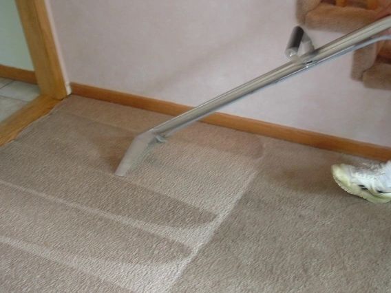 Move Out Carpet Cleaning