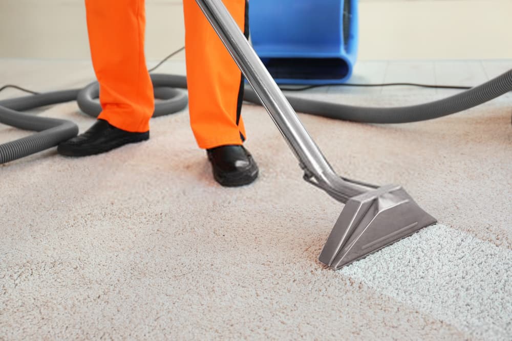 Move Out Carpet Cleaning vs Professional Cleaning: What’s Best?
