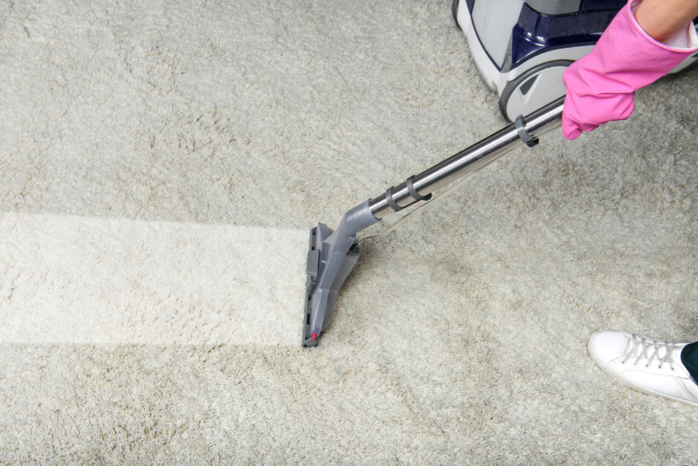 Move Out Carpet Cleaning