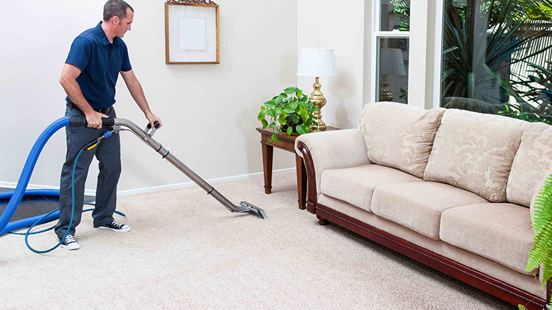 how steam carpet cleaning works How Steam Cleaning Deeply Refreshes Your Carpets