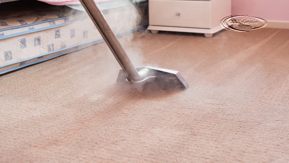 carpet cleaning myths explained Popular Carpet Cleaning Misconceptions