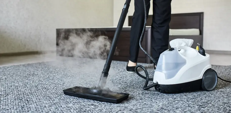Best Season for Carpet Steam Cleaning