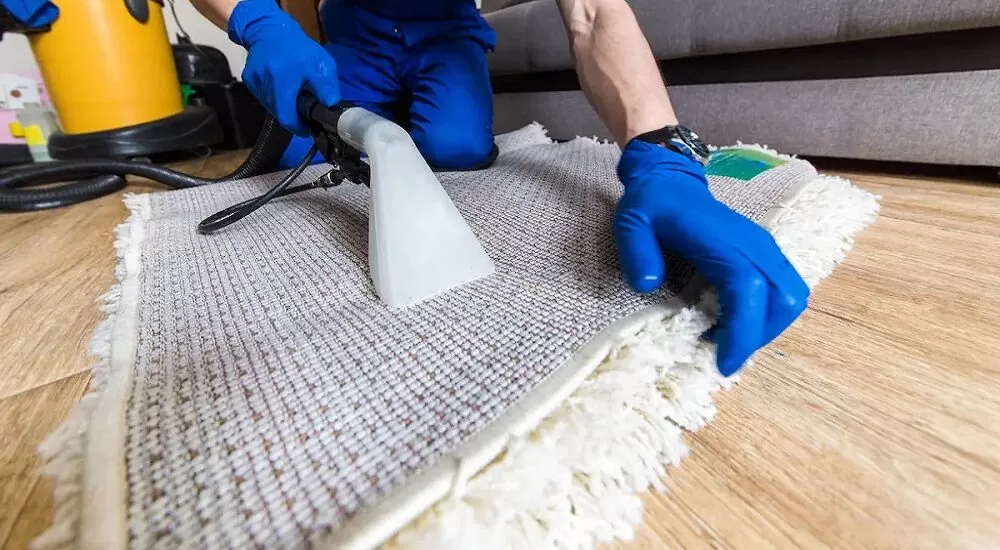 does steam cleaning kill bed bugs Can Steam Kill Bed Bugs in Carpets?