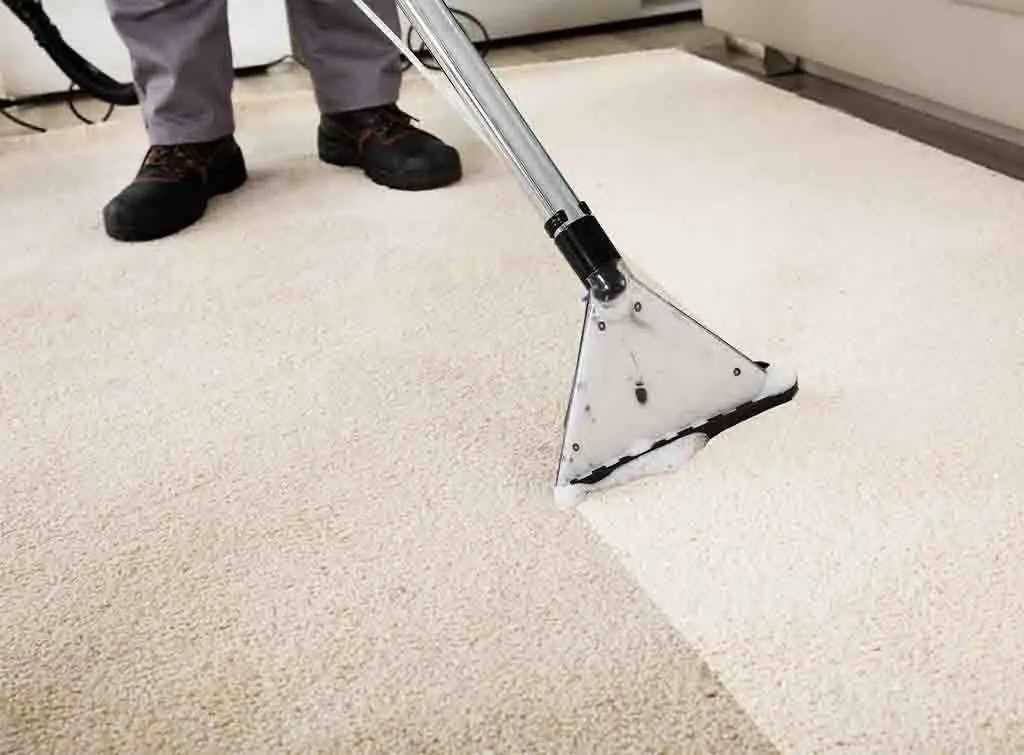 Carpet Cleaner for Deep Cleaning: Best Machines Compared