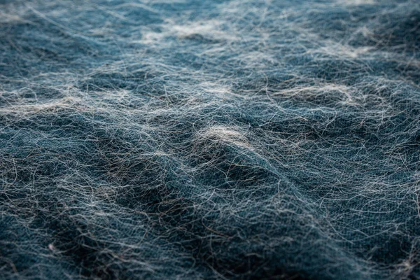 common problems with pet hair on carpet Common Problems With Pet Hair on Carpet and Rugs