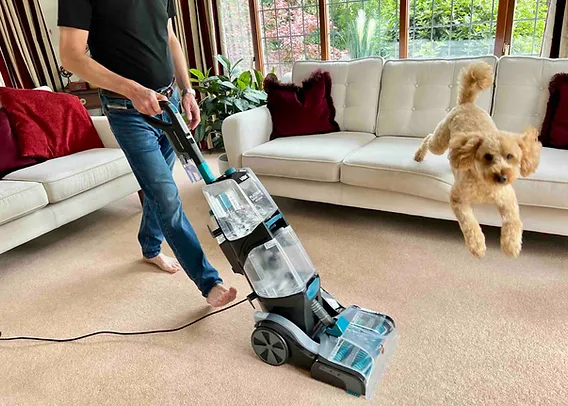 pet hair removal from carpet without vacuum How to Remove Pet Hair From Carpet Without a Vacuum