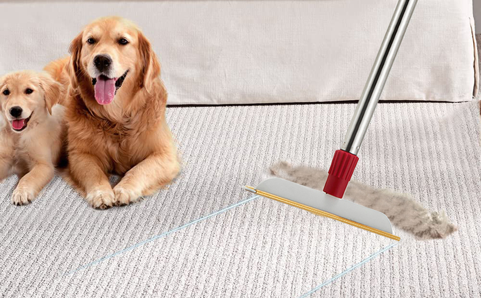 pet hair removal with carpet rake method Pet Hair Removal With Carpet Rake Method: Does It Work?