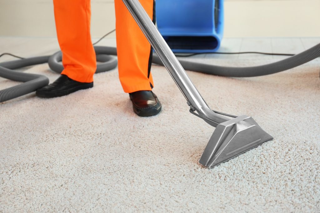 Carpet Cleaner for Quick Cleaning: Fast and Efficient Options