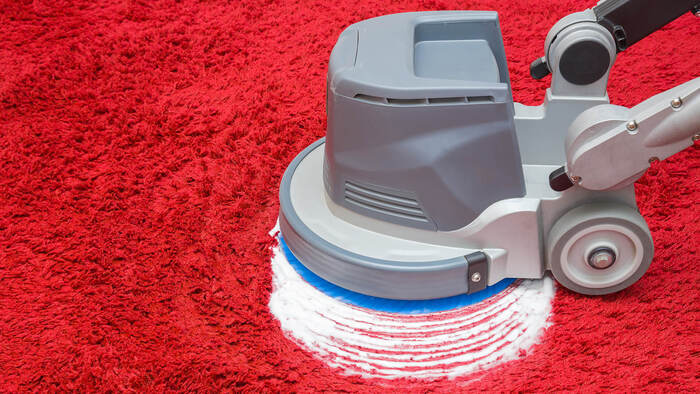 how long does carpet take to dry after cleaning How Long Does Carpet Take to Dry After Cleaning?