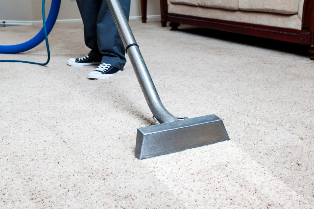 How Steam Cleaning Promotes a Healthier Home
