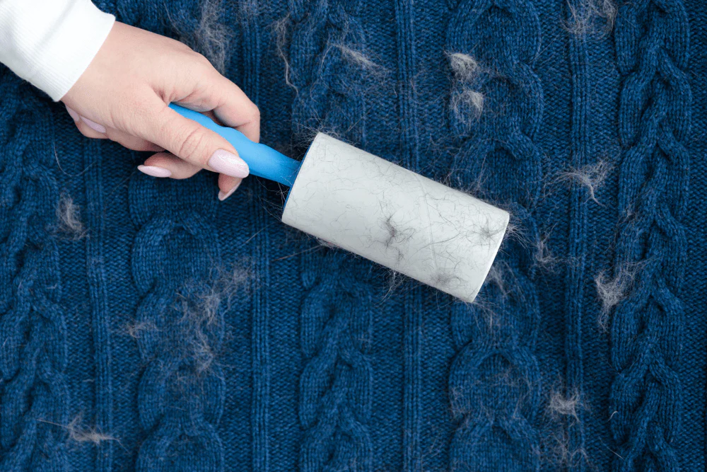 how to prevent pet hair buildup on carpet How to Prevent Pet Hair Buildup on Carpet Surfaces