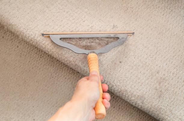 Pet Hair Removal From Carpet: The Ultimate Pet Owner Guide