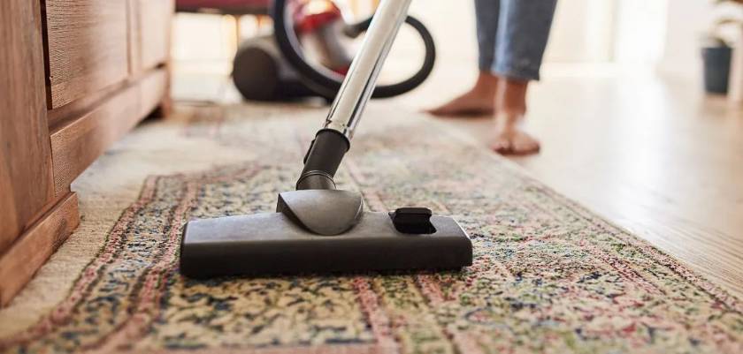 Pet Hair Removal From Carpet Using Static Brush Tools