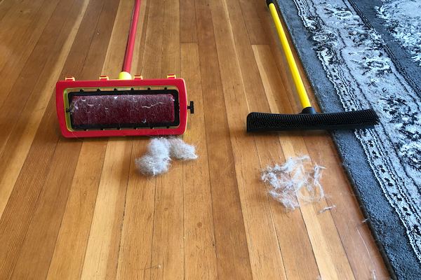 pet hair removal from carpet using static brush Pet Hair Removal From Carpet Using Static Brush Tools