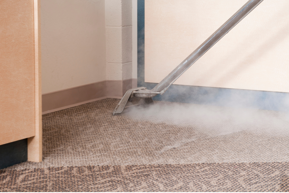 steam cleaning myths and facts Steam Carpet Cleaning — Facts vs Myths