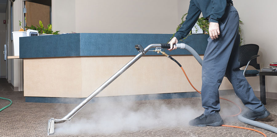 how to steam clean carpets with pets at home Steam Cleaning Carpets With Pets at Home