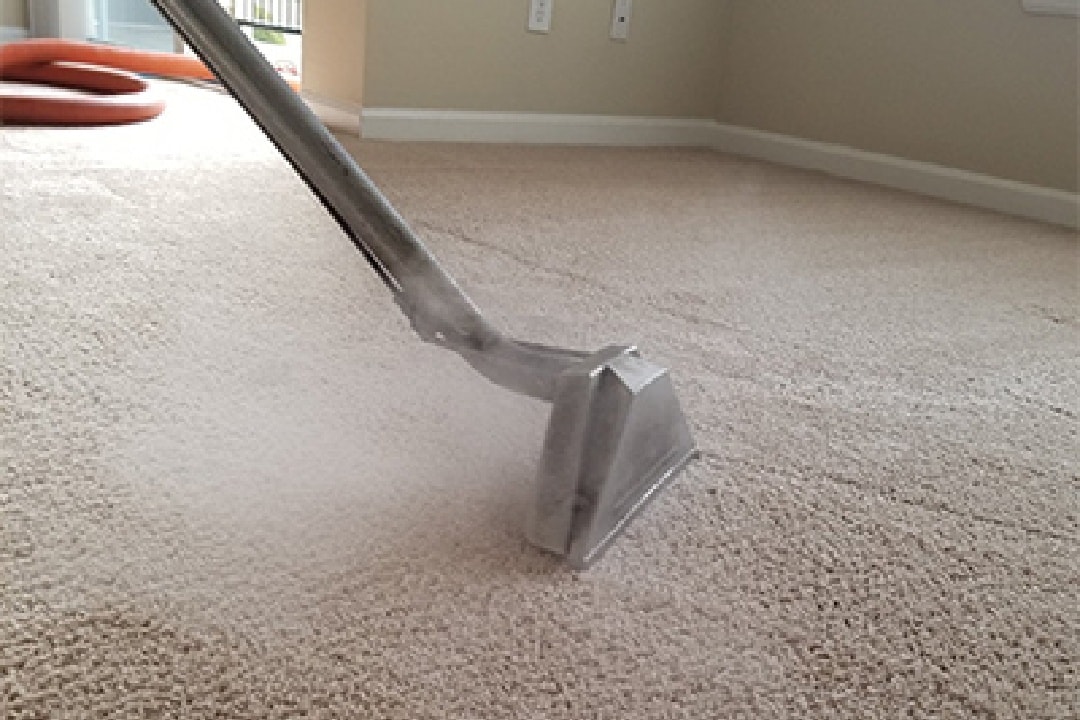 does steam cleaning eliminate fleas Can Steam Remove Fleas from Carpets?