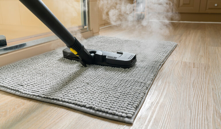 carpet cleaner safe for pets Carpet Cleaner Safe for Pets: Ingredients and Safety Tips